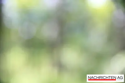 Rote Rosen kehren zurück: Studioführungen während der Sommerpause!