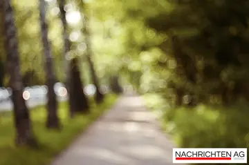 Bürger:innen-Sprechstunde mit Claudia Kalisch – Jetzt anmelden!