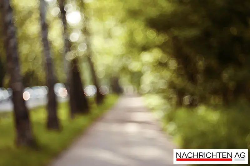 Zweites Flottendienstboot der Marine: Bau startet vorzeitig in Wolgast