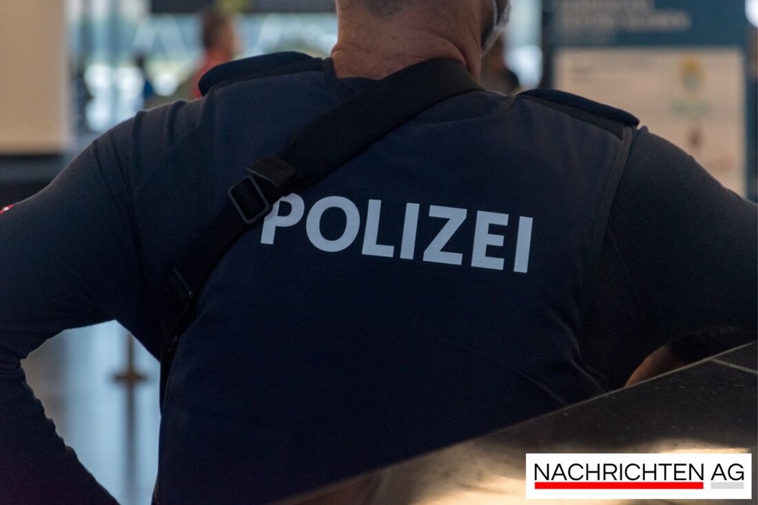 In Vechta wurde ein etwa ein Meter großer Alligator entdeckt. Die Stadtverwaltung hat das Gebiet abgesperrt und sucht nach dem Reptil.