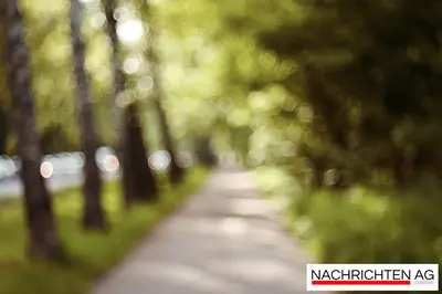 Niederdeutsche Bühne würdigt Bellmann: Ein festliches Programm erwartet!
