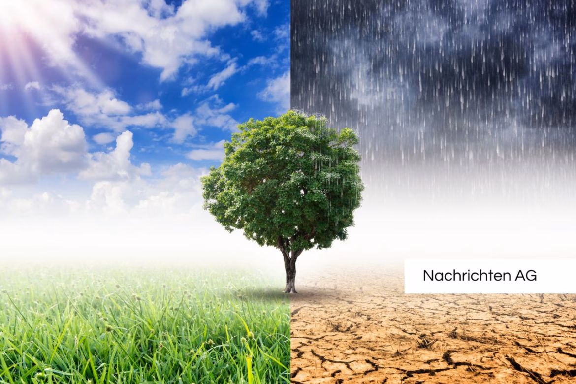 Zukunft der Bahn: Rinteln-Stadthagen könnte klimafreundlich aufblühen!