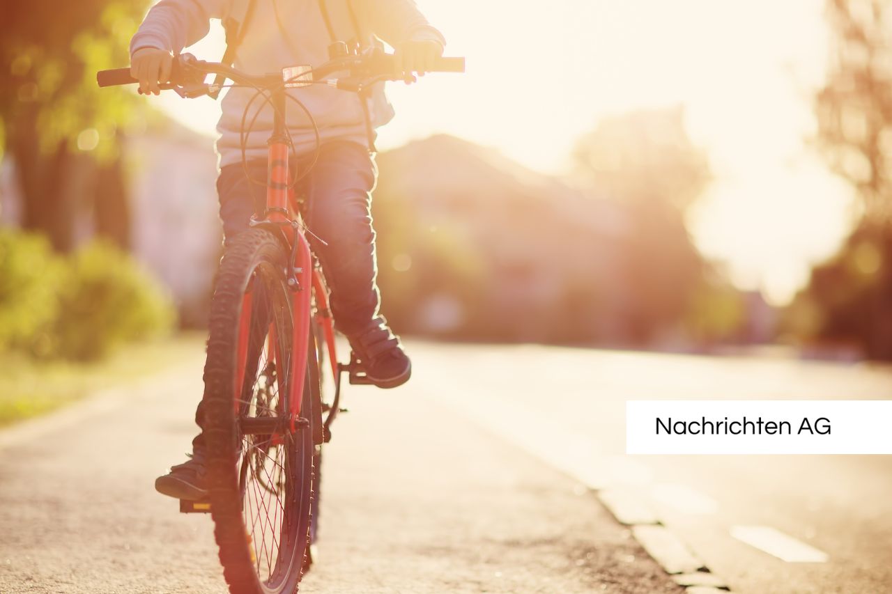 Erste Radservicestation am Ochsenweg: Ein Gewinn für Radfahrer in Harrislee!