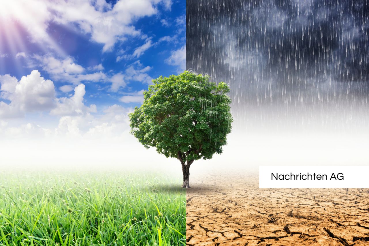 Kampf gegen die Dürre: Landwirte bangen um ihre Ernten!