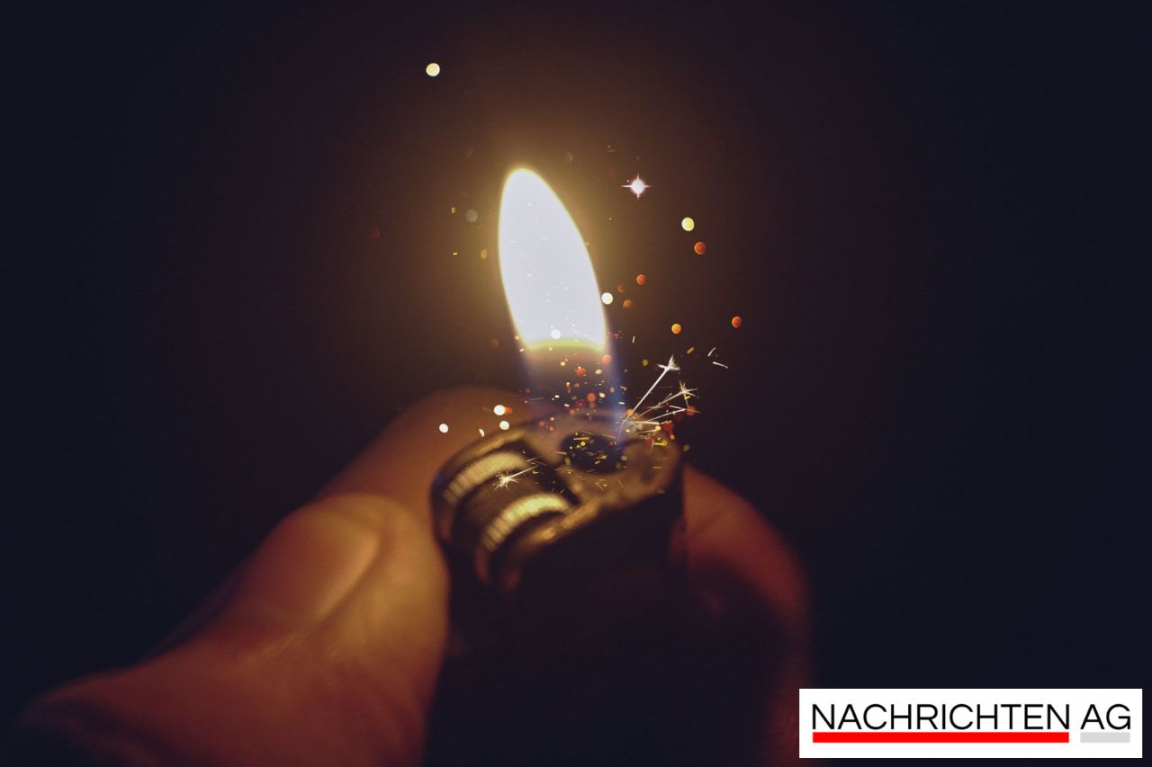 WWF schlägt Alarm: Deutschland drohen katastrophale Waldbrände!